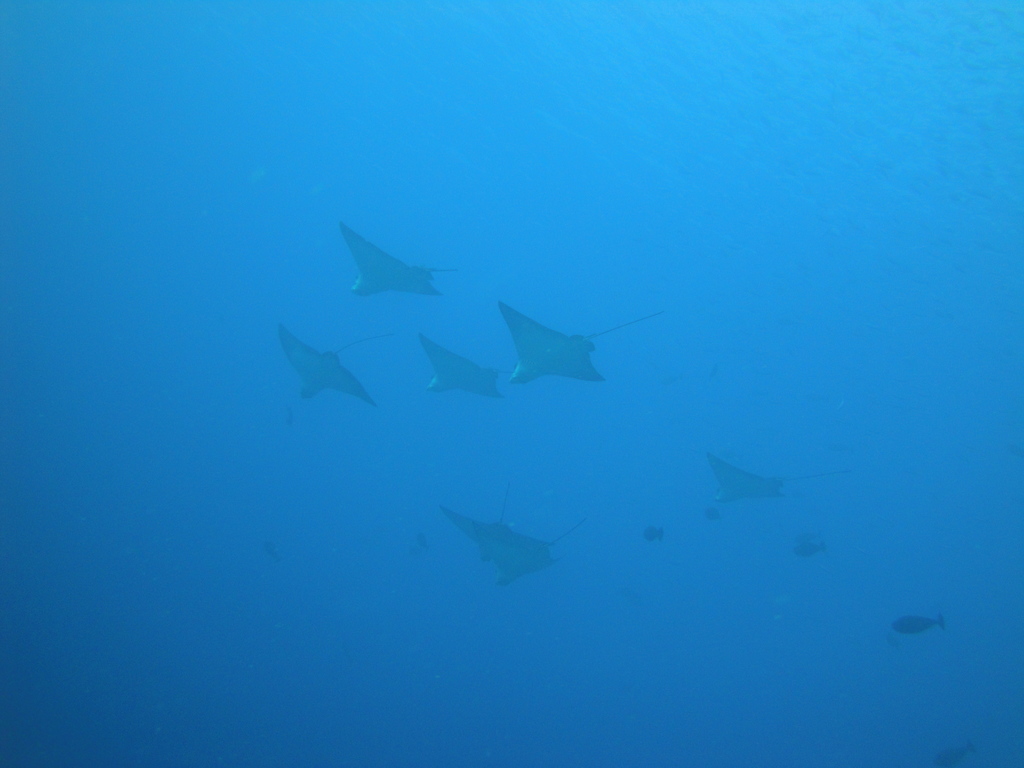 DSC00433.JPG