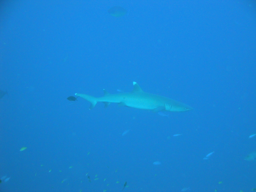 DSC00438.JPG