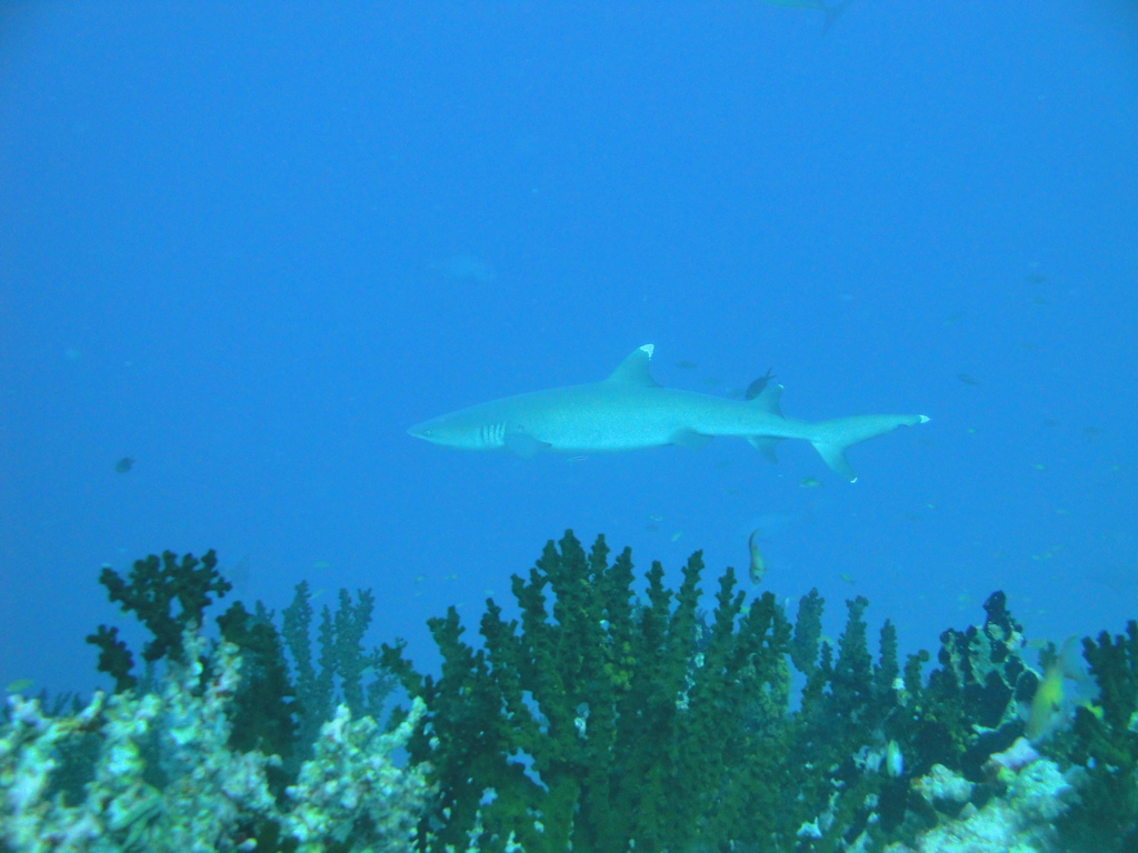 DSC00444.JPG