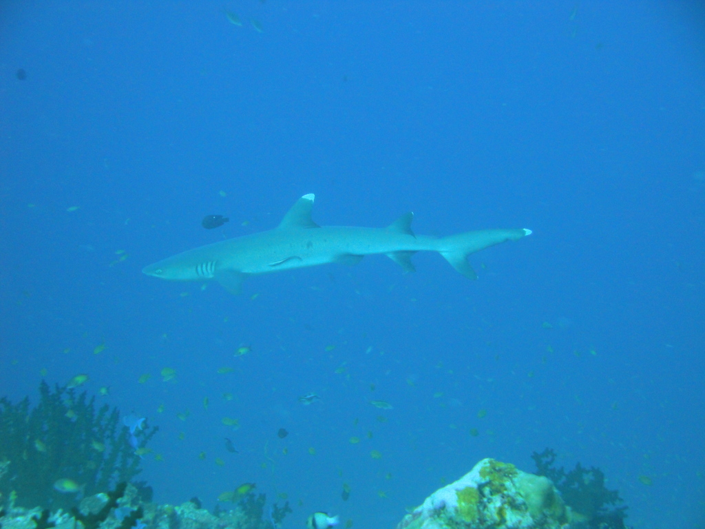 DSC00451.JPG