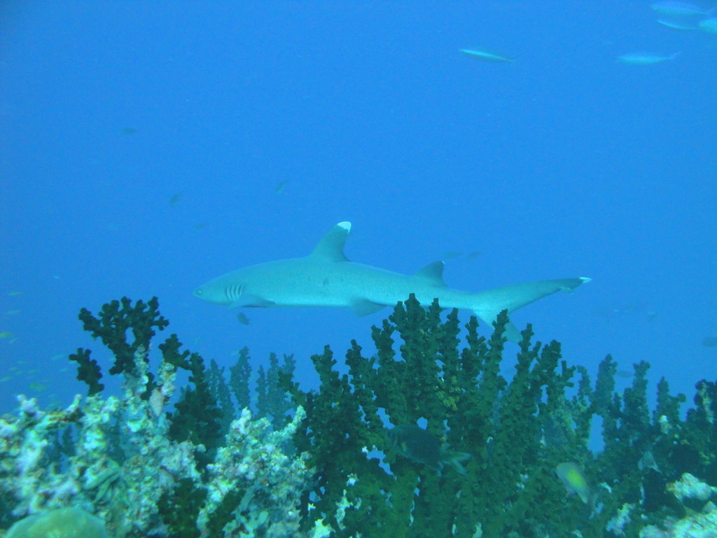 DSC00454.JPG