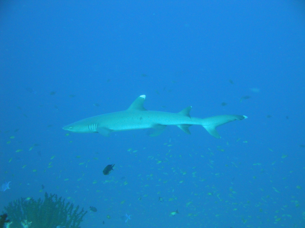 DSC00455.JPG