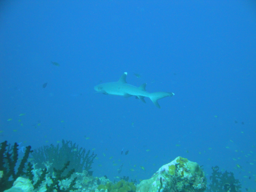 DSC00457.JPG