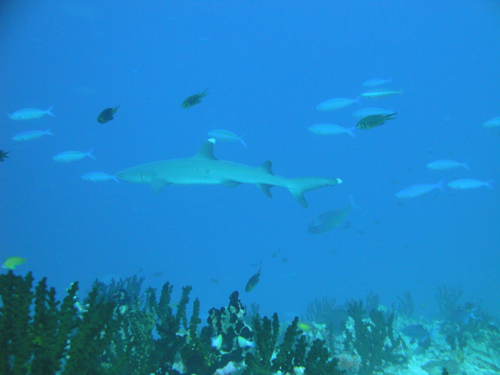 DSC00465.JPG