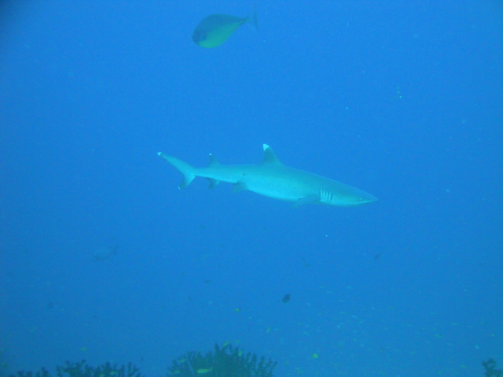 DSC00471.JPG