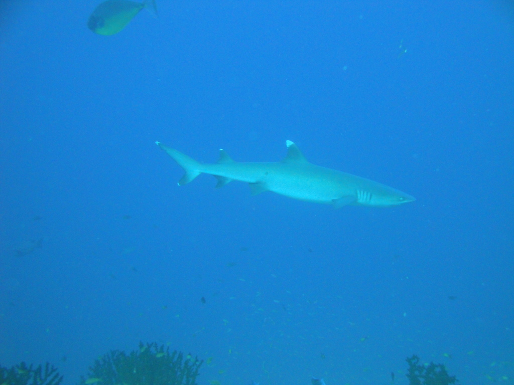 DSC00472.JPG