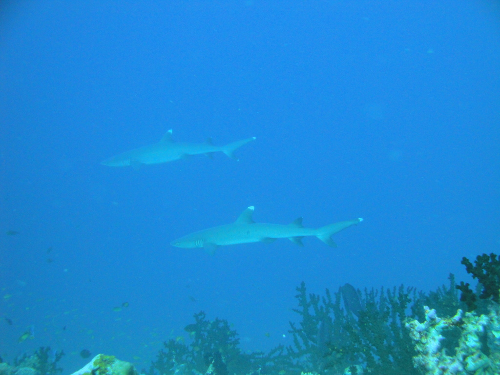 DSC00476.JPG