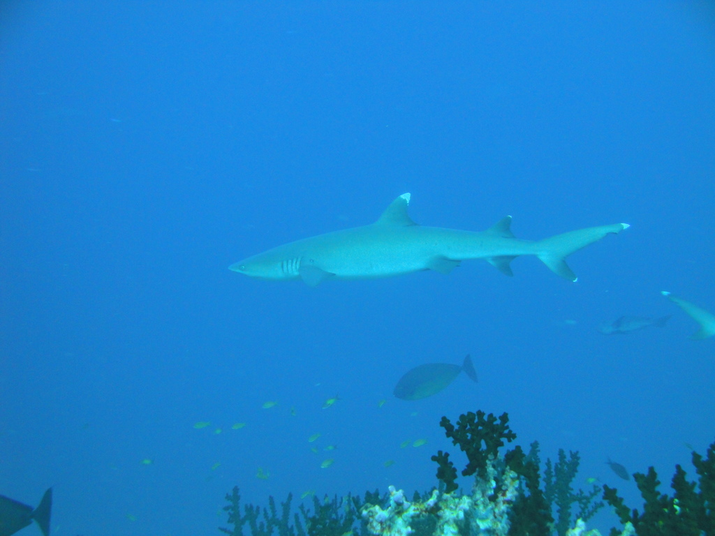 DSC00478.JPG