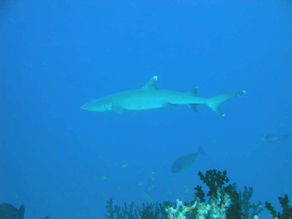 DSC00479.JPG