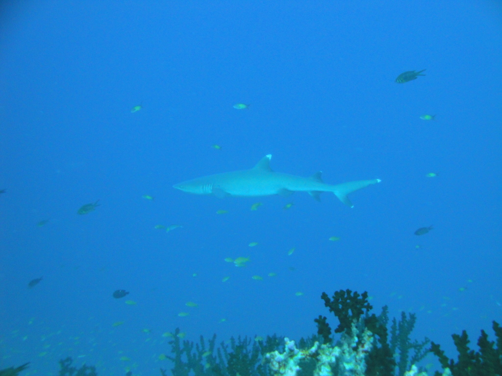 DSC00481.JPG
