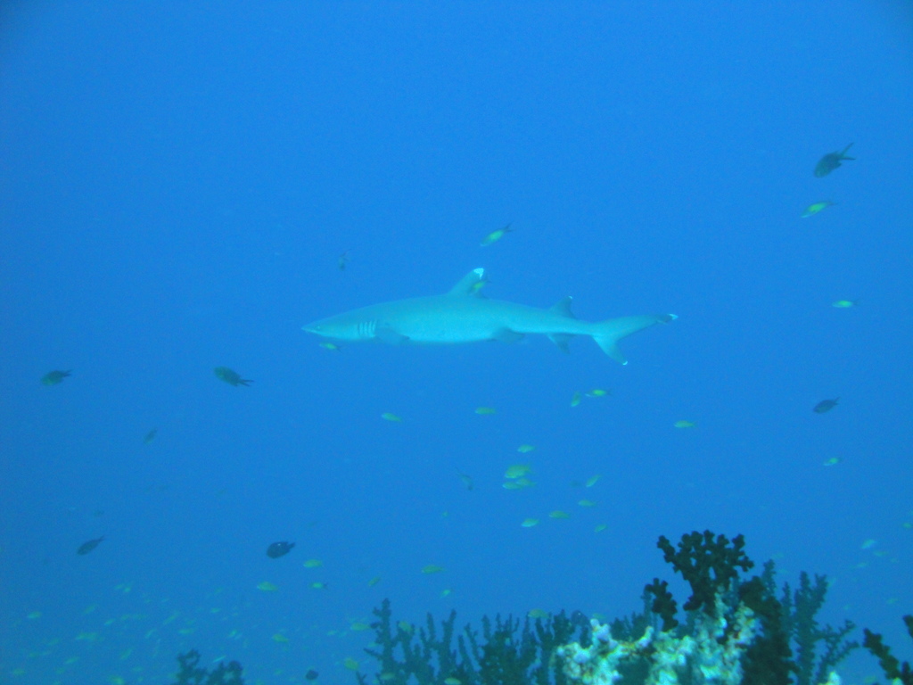 DSC00482.JPG
