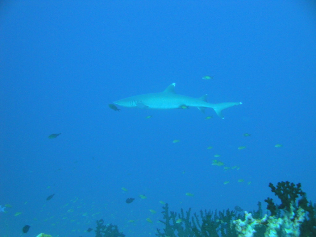 DSC00483.JPG