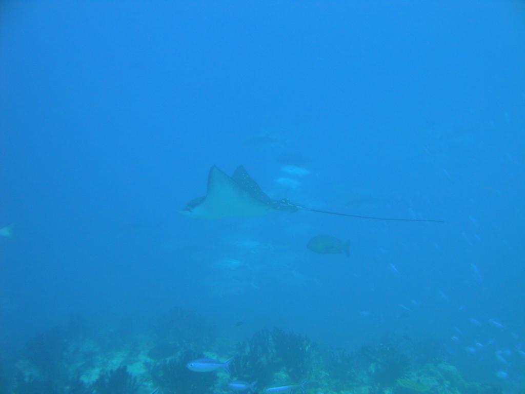 DSC00487.JPG