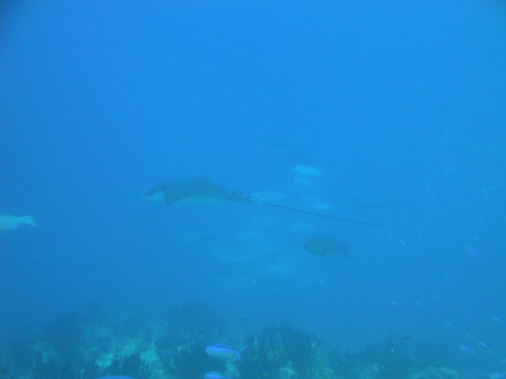DSC00488.JPG