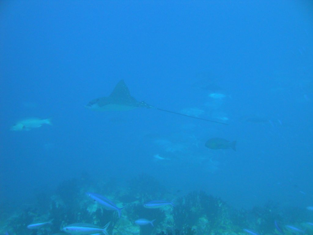 DSC00489.JPG