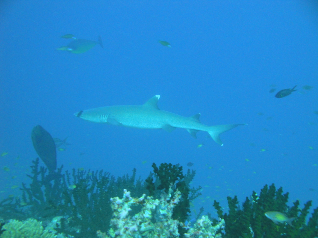 DSC00491.JPG
