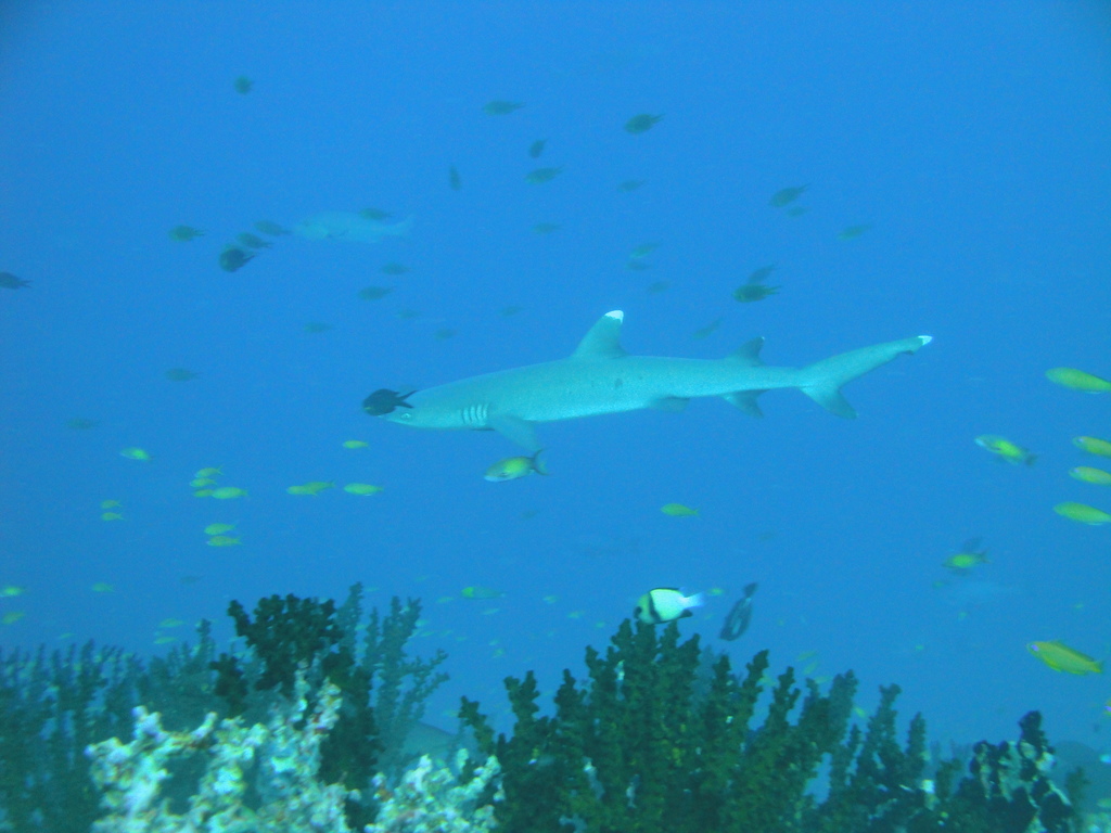 DSC00495.JPG
