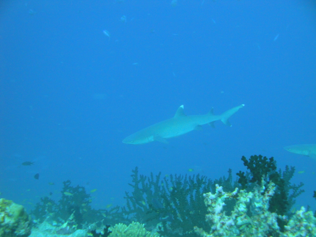 DSC00500.JPG