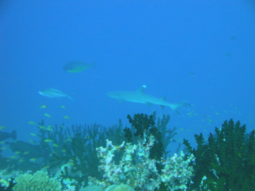 DSC00502.JPG