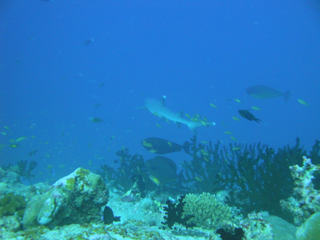 DSC00503.JPG