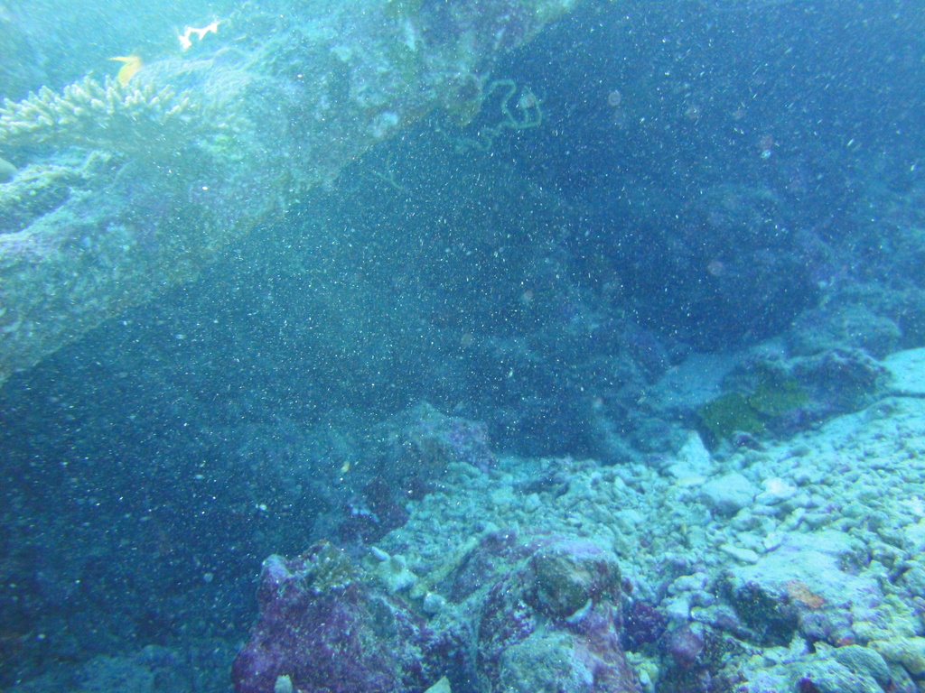 DSC00578.JPG