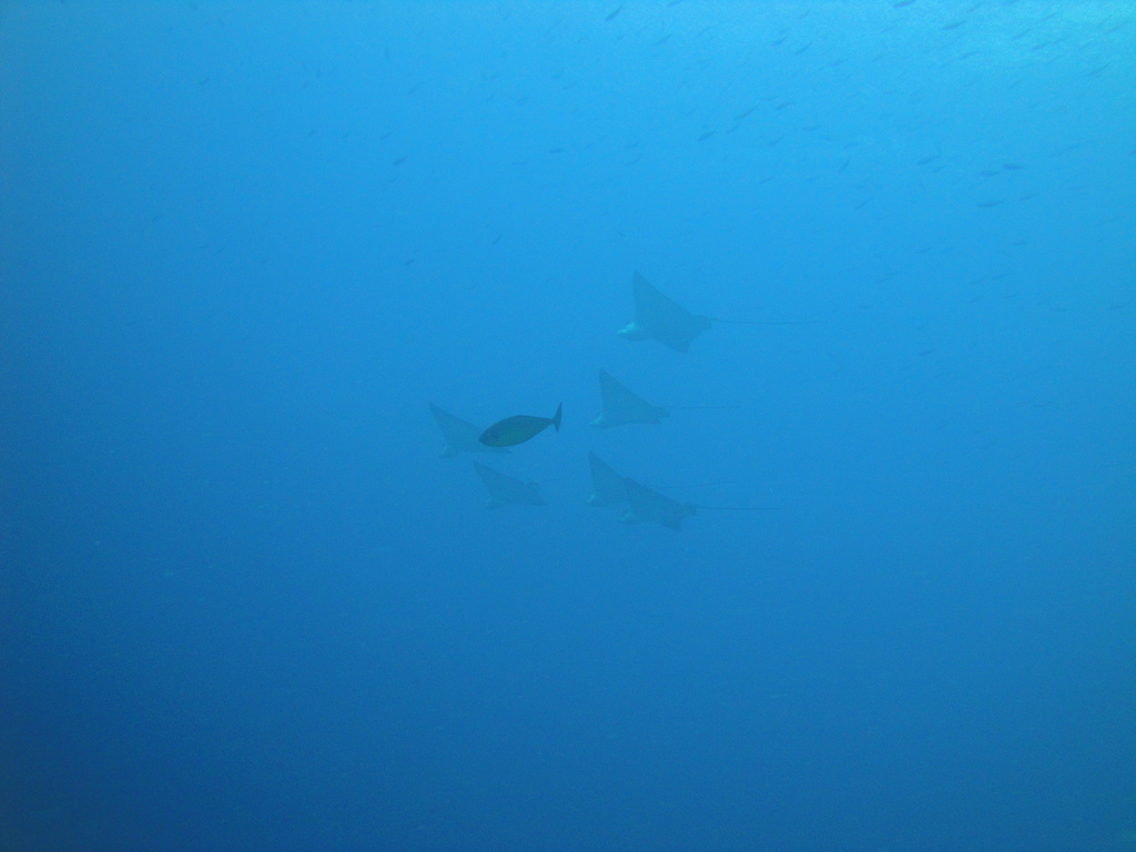 DSC00665.JPG