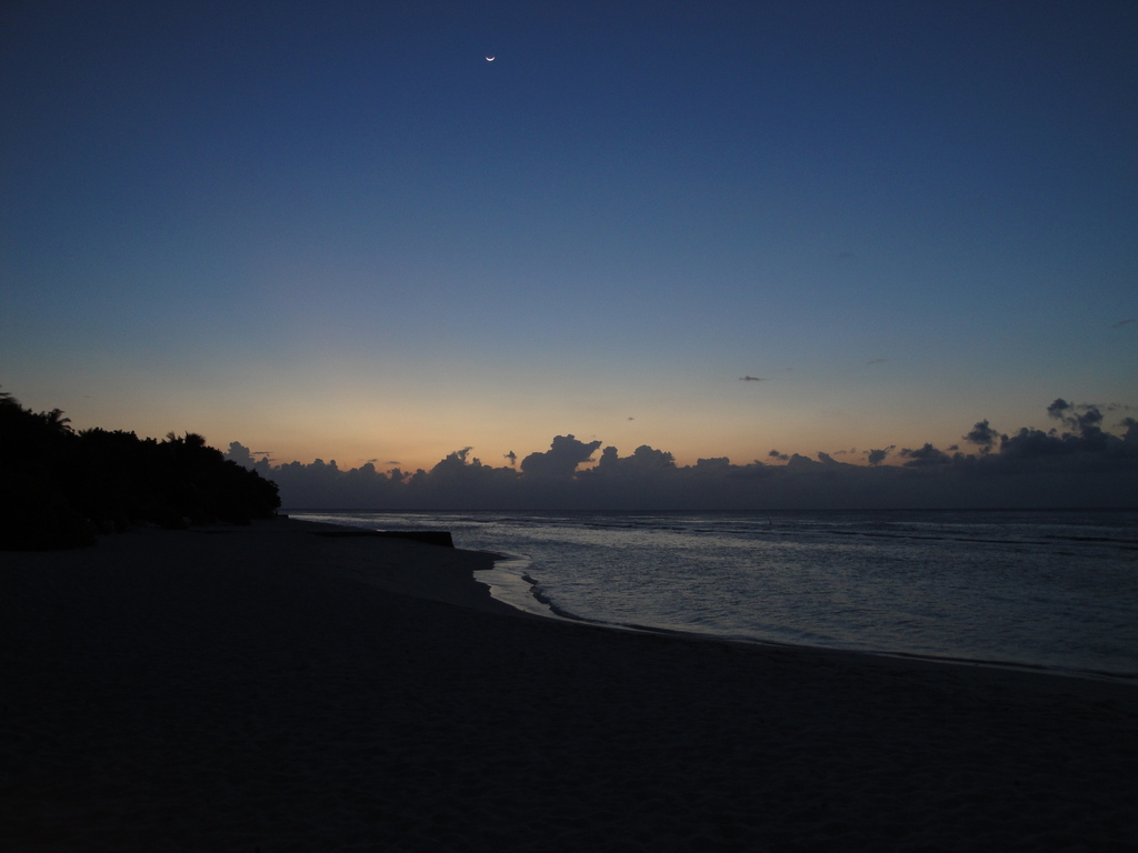 DSC00713.JPG
