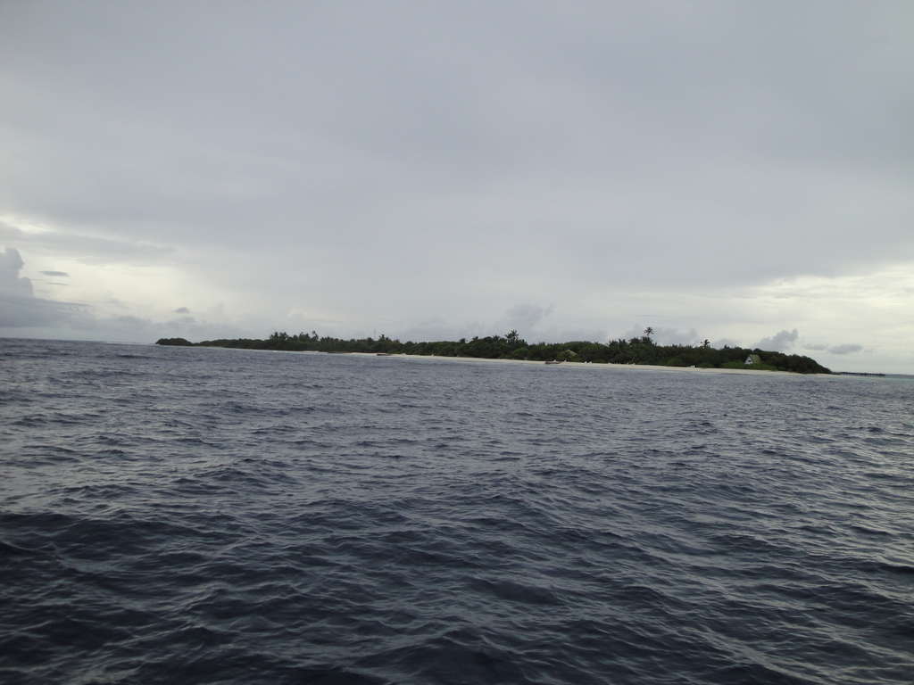 DSC00750.JPG