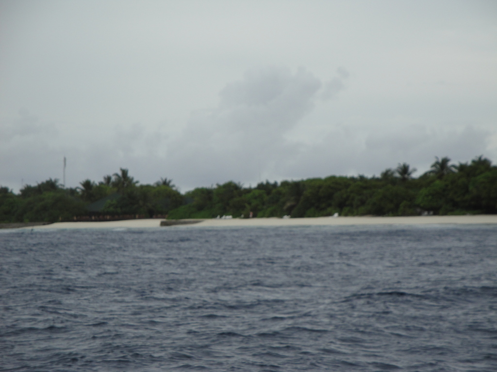 DSC00751.JPG