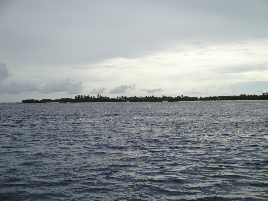 DSC00753.JPG