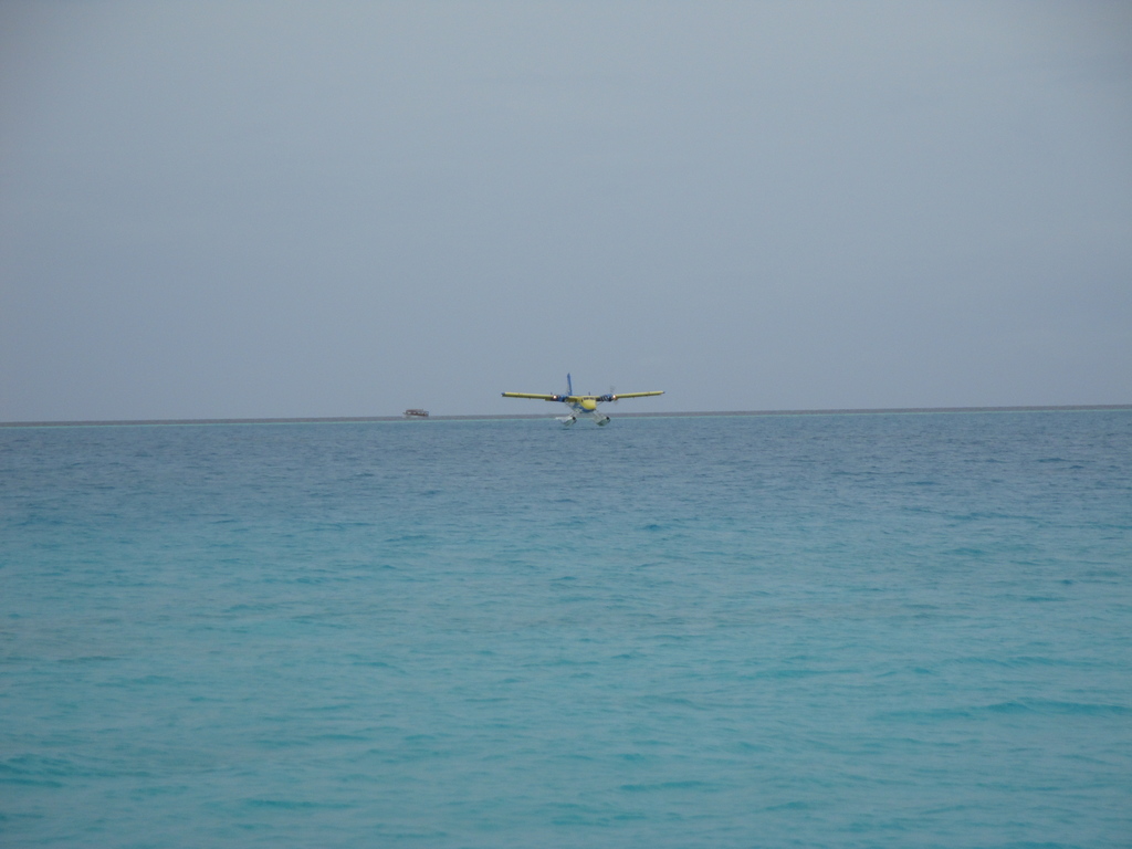 DSC00755.JPG