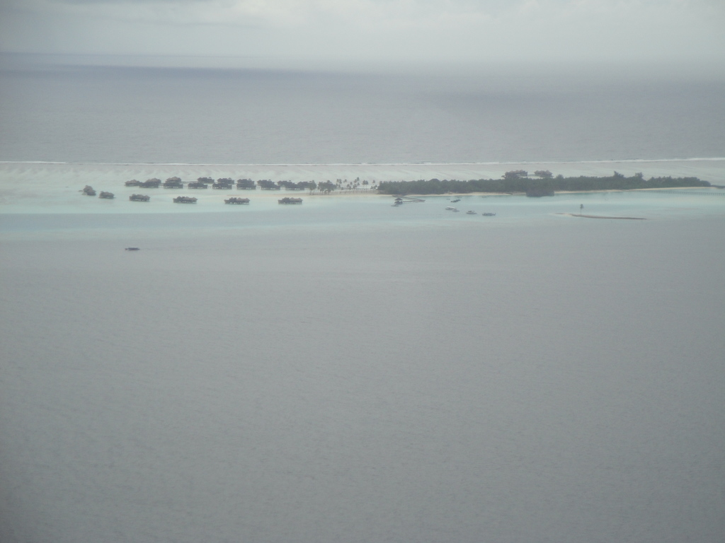 DSC00766.JPG