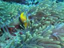 Filename=DSC00042.JPG
Filesize=372KiB
Dimensions=1024x768
Date added=Aug 05, 2014 DSC00042.JPG
