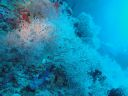 DSC00047.JPG