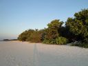 DSC00056.JPG