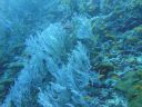 DSC00063.JPG