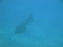 DSC00074.JPG