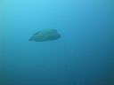 DSC00081.JPG