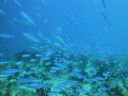 DSC00090.JPG