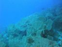 DSC00093.JPG