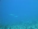 DSC00095.JPG