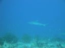 DSC00097.JPG