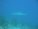 DSC00101.JPG