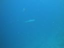 DSC00119.JPG