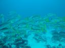DSC00125.JPG
