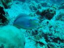 DSC00132.JPG