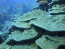 DSC00133.JPG