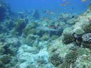 DSC00134.JPG