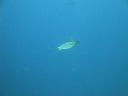 DSC00139.JPG