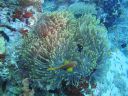 DSC00146.JPG